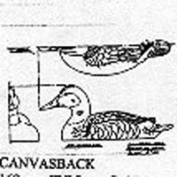 CANVASBACK/FULL 169 PATTERN