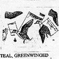 GREENWING TEAL/FULL 72