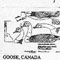 GOOSE/CANADA/WTR 622