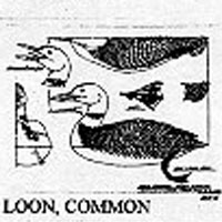 LOON/WATER 1/3 855X