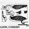 LOON/WATER 1/3 855X