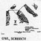 OWL/SCREECH 513