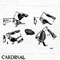 CARDINAL PERCH 544