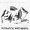 NUTHATCH WHITE 549