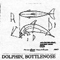 DOLPHIN/BTLNOSE 1008