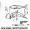 DOLPHIN/BTLNOSE 1008