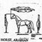 HORSE.ARABN 1282