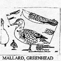 FEML MALLARD STND 10