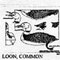 LOON WATER FULL 855