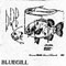 BLUEGILL 10