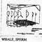 SPERM WHALE 22