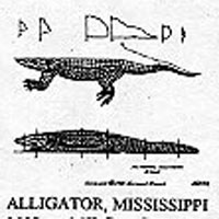 ALLIGATOR MS 1609