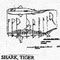 SHARK/TIGER 27