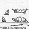 TURTLE/EAST BOX 1030