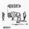 BISON/MALE STND 1213