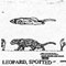 LEOPARD/SPOTTED 1237