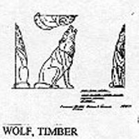 WOLF/TIMBER 8