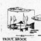 TROUT/BROOK 14