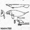 MANATEE 10