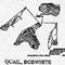 QUAIL, BOBWHITE, FLY 411 FULL SIZE