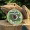 INTRO CHAINSAW CARV DVD