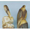CHAINSAW CARVING DVD