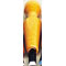 #1-6MM CHISEL