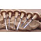 MINI PALM 6 PC SET 4.5