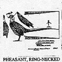 PHEASANT/STND 396B