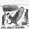HORNED OWL FLY 744C