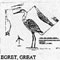 EGRET GR STND 787X