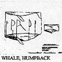 HUMPBACK WHALE 1004