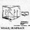 HUMPBACK WHALE 1004