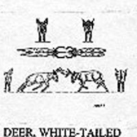 DEER/FGHTNG BCK 1208