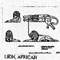 LION/AFRICIAN 1273