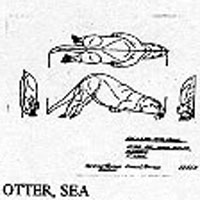 OTTER/SEA 10 1251