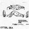 OTTER/SEA 10