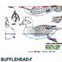 @^BUFFLEHEAD