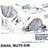 @^SWAN/MUTE 1/3 11