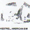 @^KESTREL/AMERICAN FULL