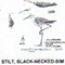 @^STILT/BLACKNECKED FULL