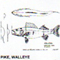 @^PIKE/WALLEYE 12