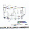 @^SHARK/SCLPD HMRHD 13