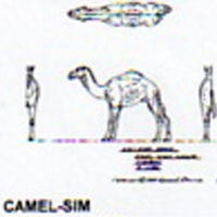 @^CAMEL 6