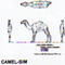 @^CAMEL 6