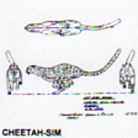 @^CHEETAH 5