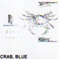 @^CRAB/BLUE 12