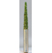 TAPER COARSE GREEN