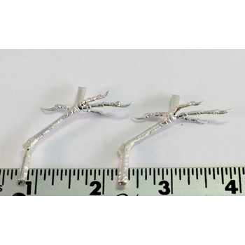 WREN FEET (pair)