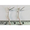 SPOTTED SANDPIPER FEET (pair)